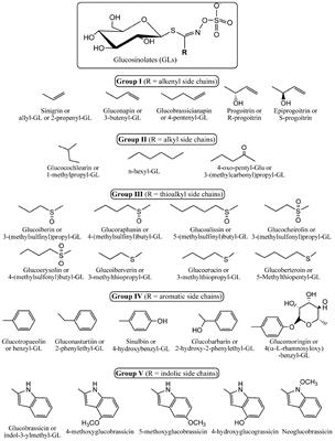 Glucosinolates, a natural chemical arsenal: More to tell than the myrosinase story